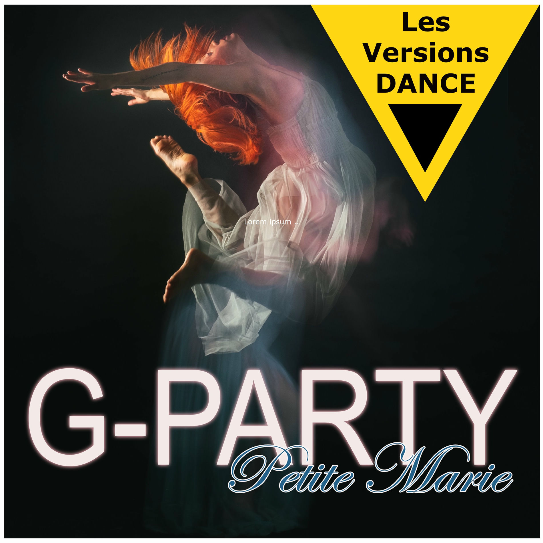 Album cover of Petite Marie
