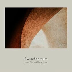 Cover of Zwischenraum