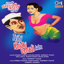 Cover of Tujhi Khidki Ughadi Aahe