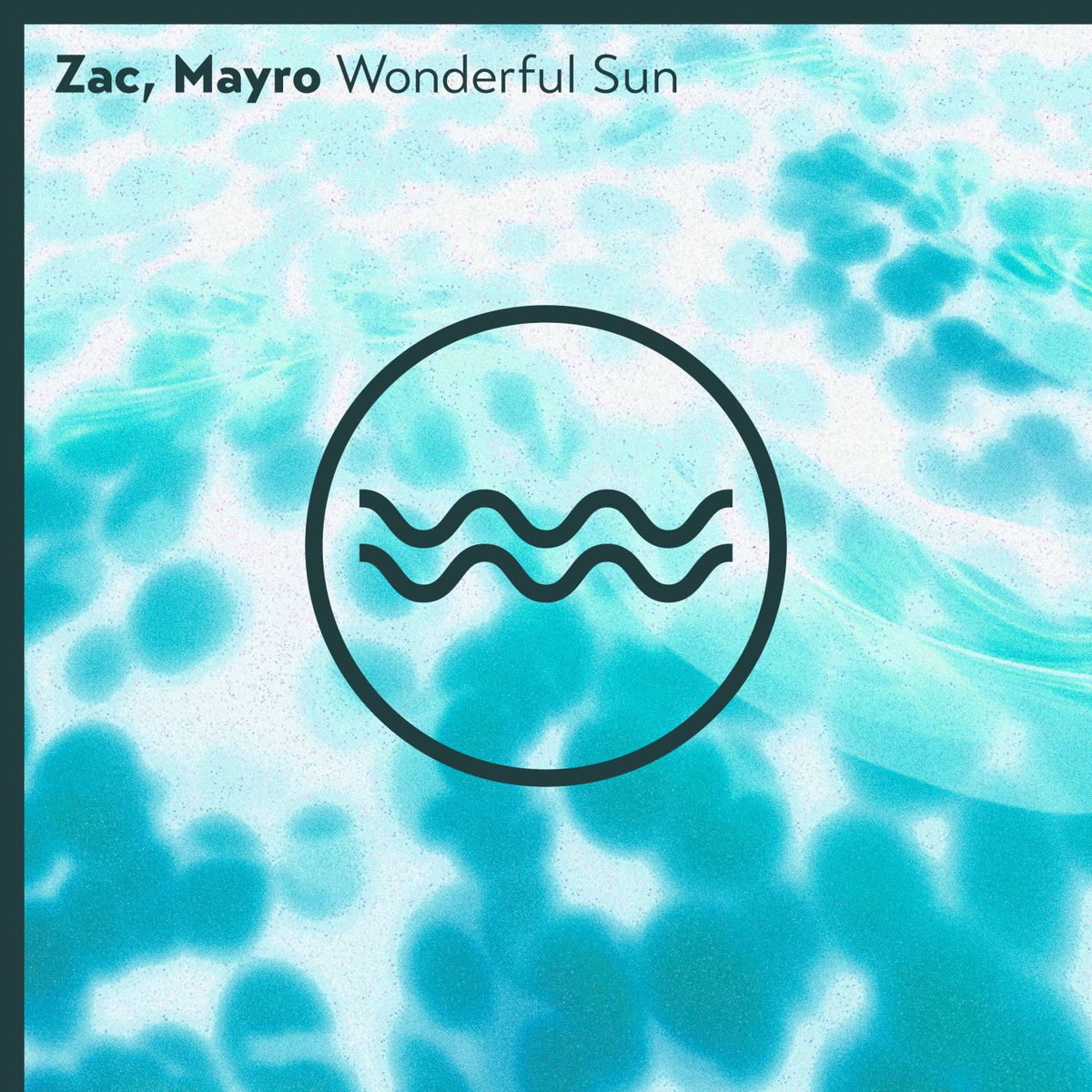 Album cover of Wonderful Sun