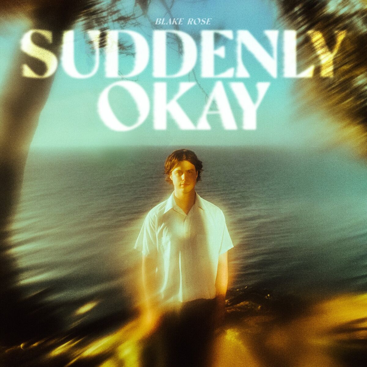 Album cover of Never Let Go