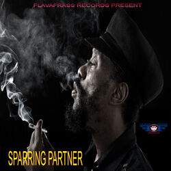 Cover of Sparring Partner