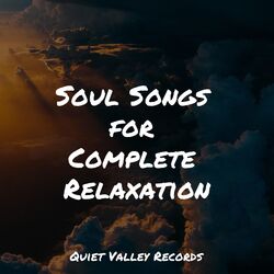 Cover of Soul Songs for Complete Relaxation