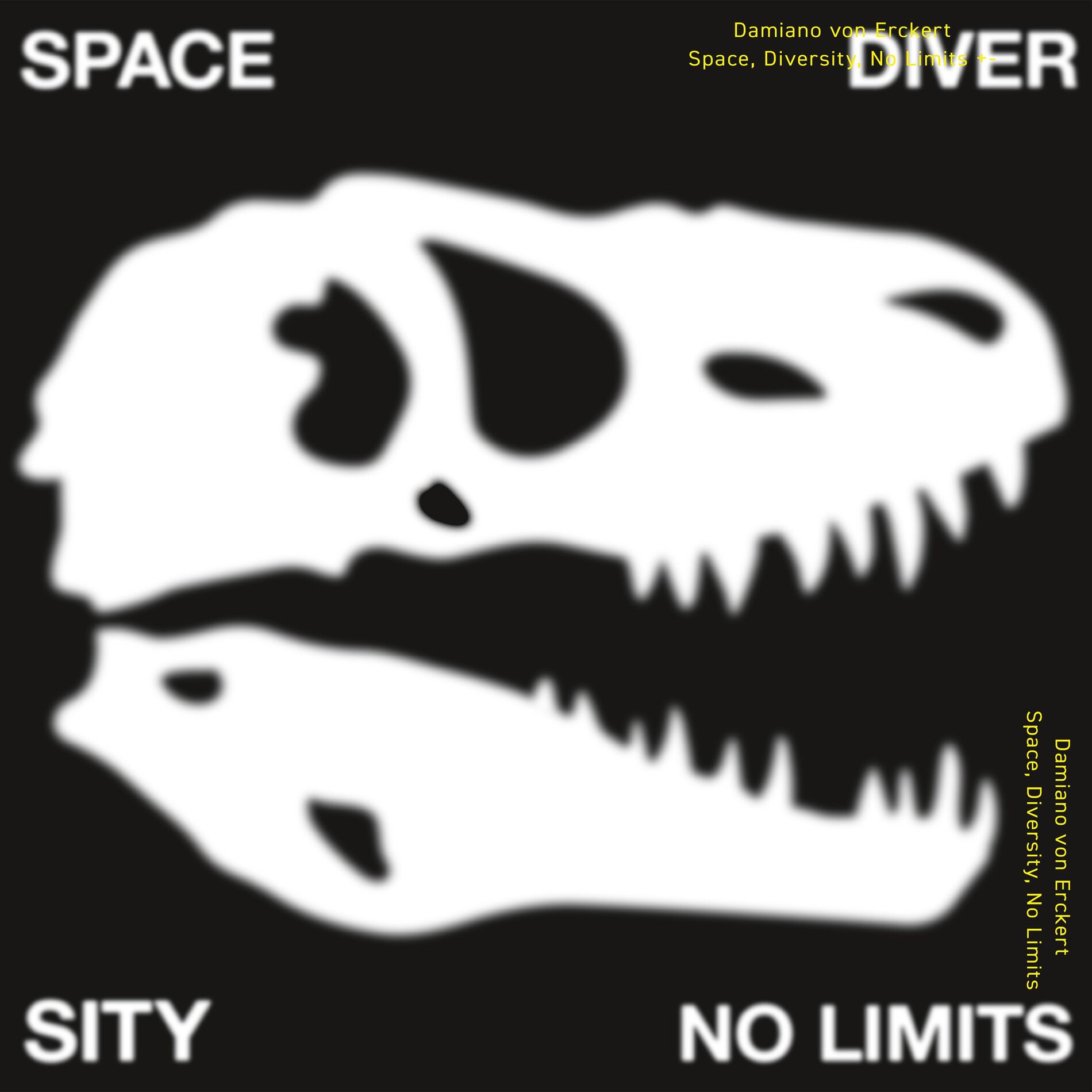 Album cover of Space, Diversity, No Limits