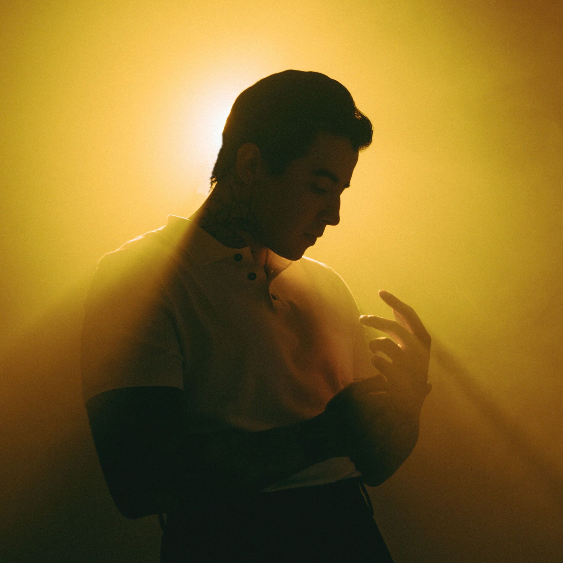 Album cover of AUNQUE TE VAYAS