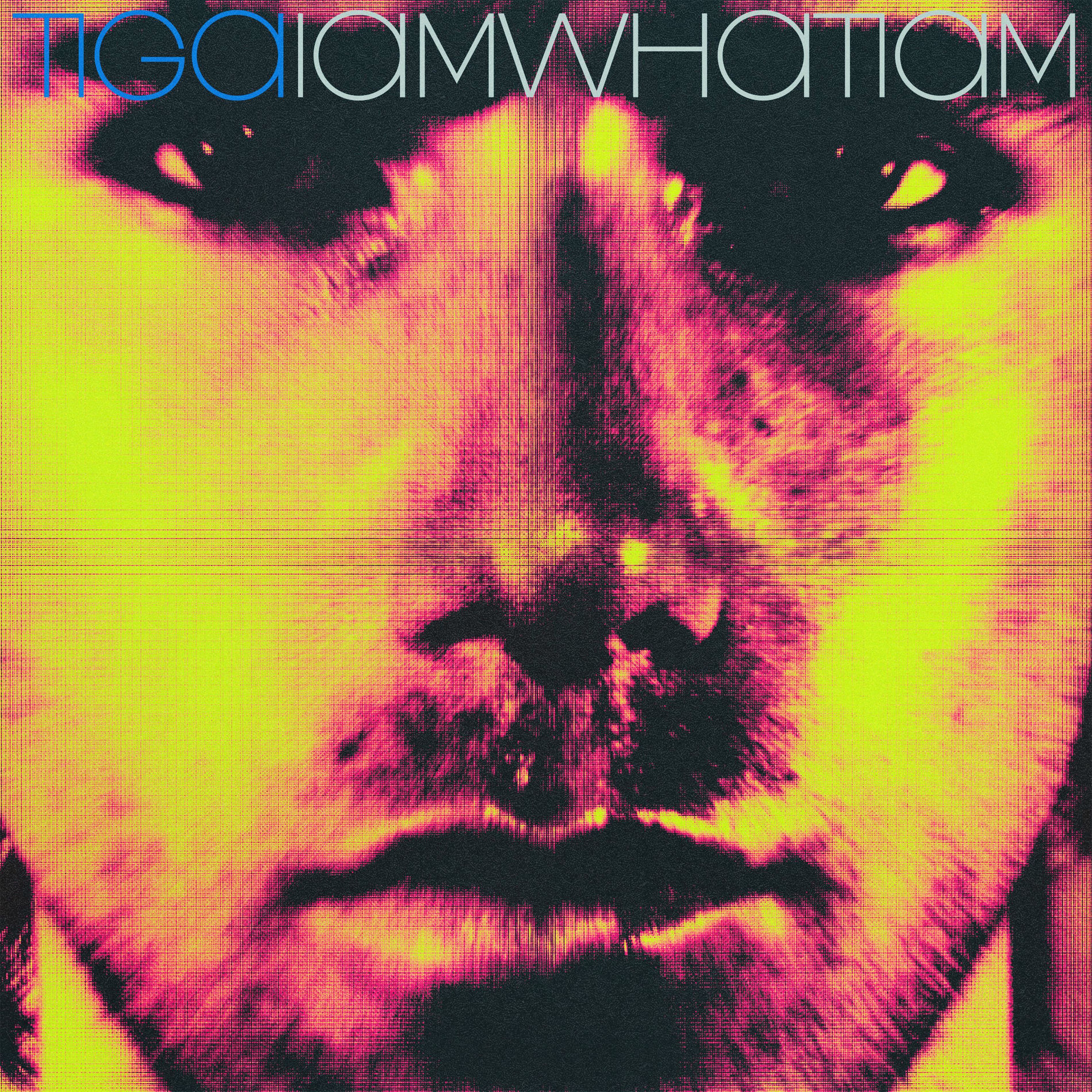 Album cover of IAMWHATIAM