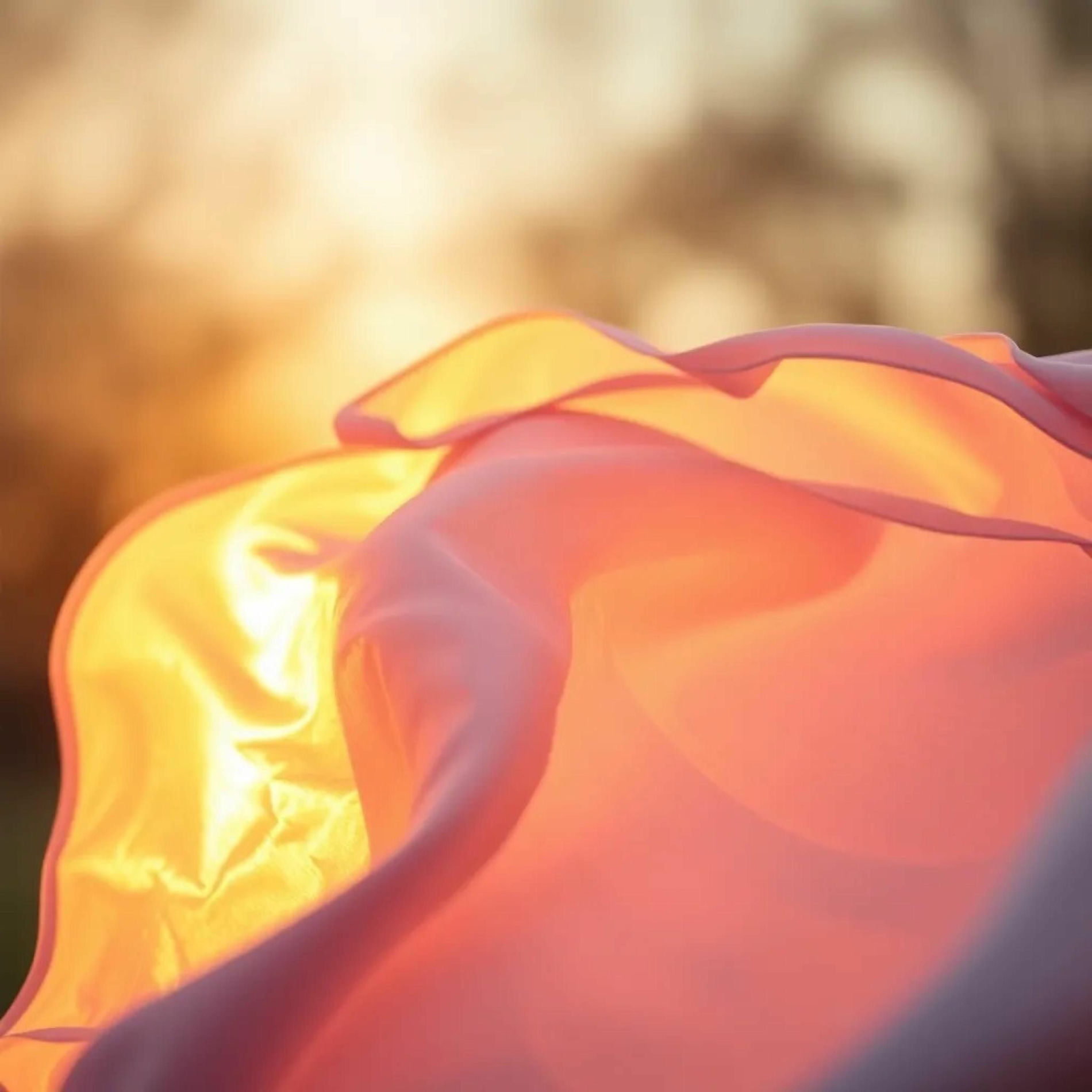 Album cover of Perreo en High