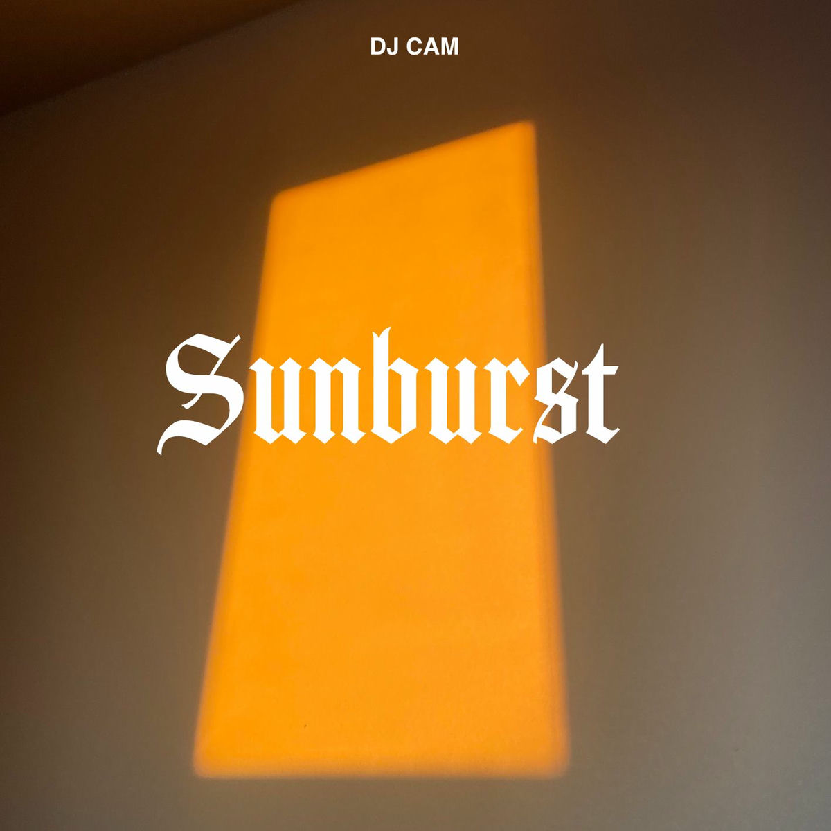 Album cover of Swim