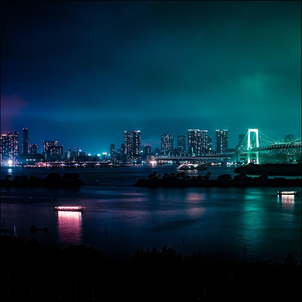 Picture of Harbor Rhythms
