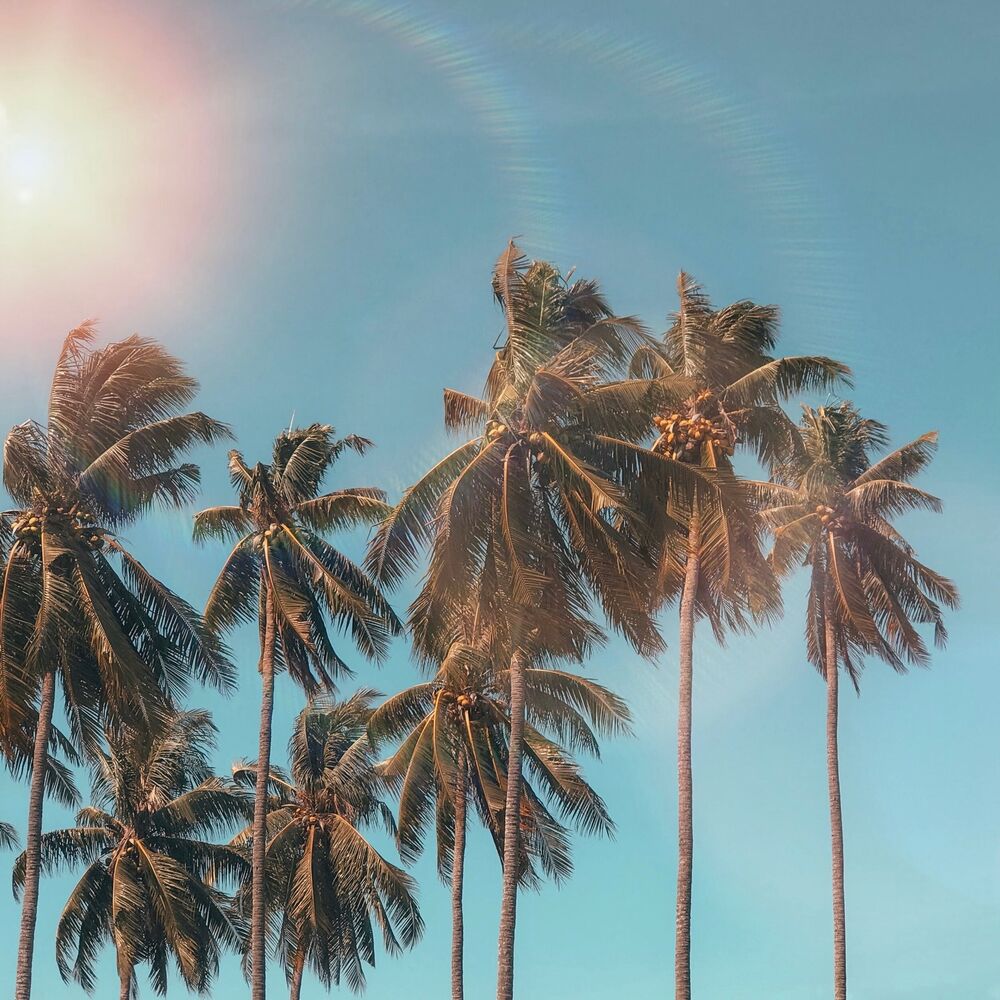 Picture of 静谧之波 (Waves of Stillness)