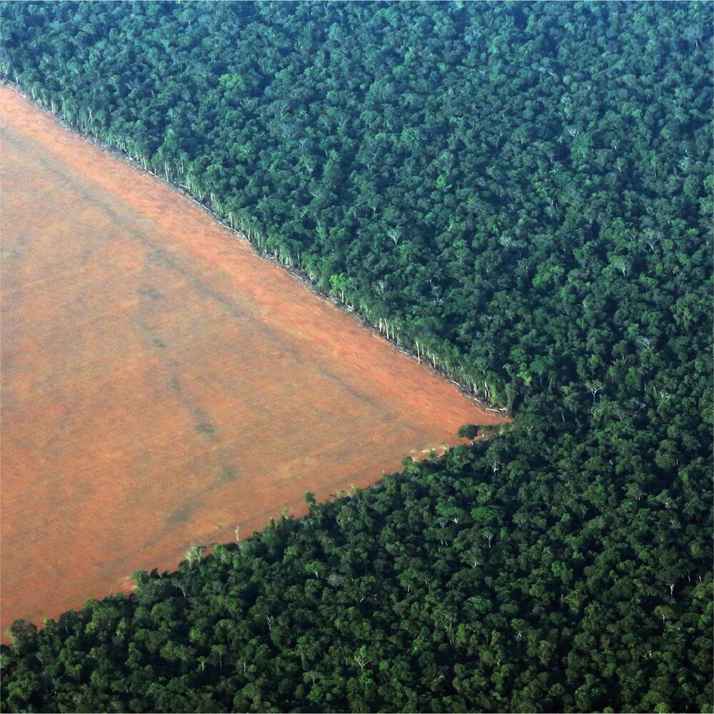 Picture of Spirtu Pront