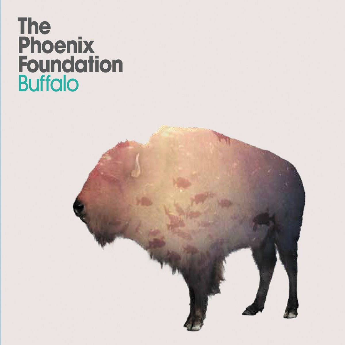Album cover of Buffalo