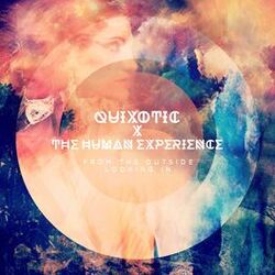 Cover of From the Outside Looking In