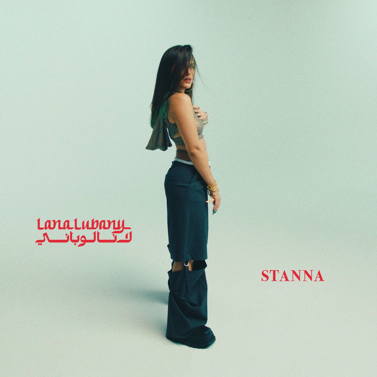 Album cover of STANNA