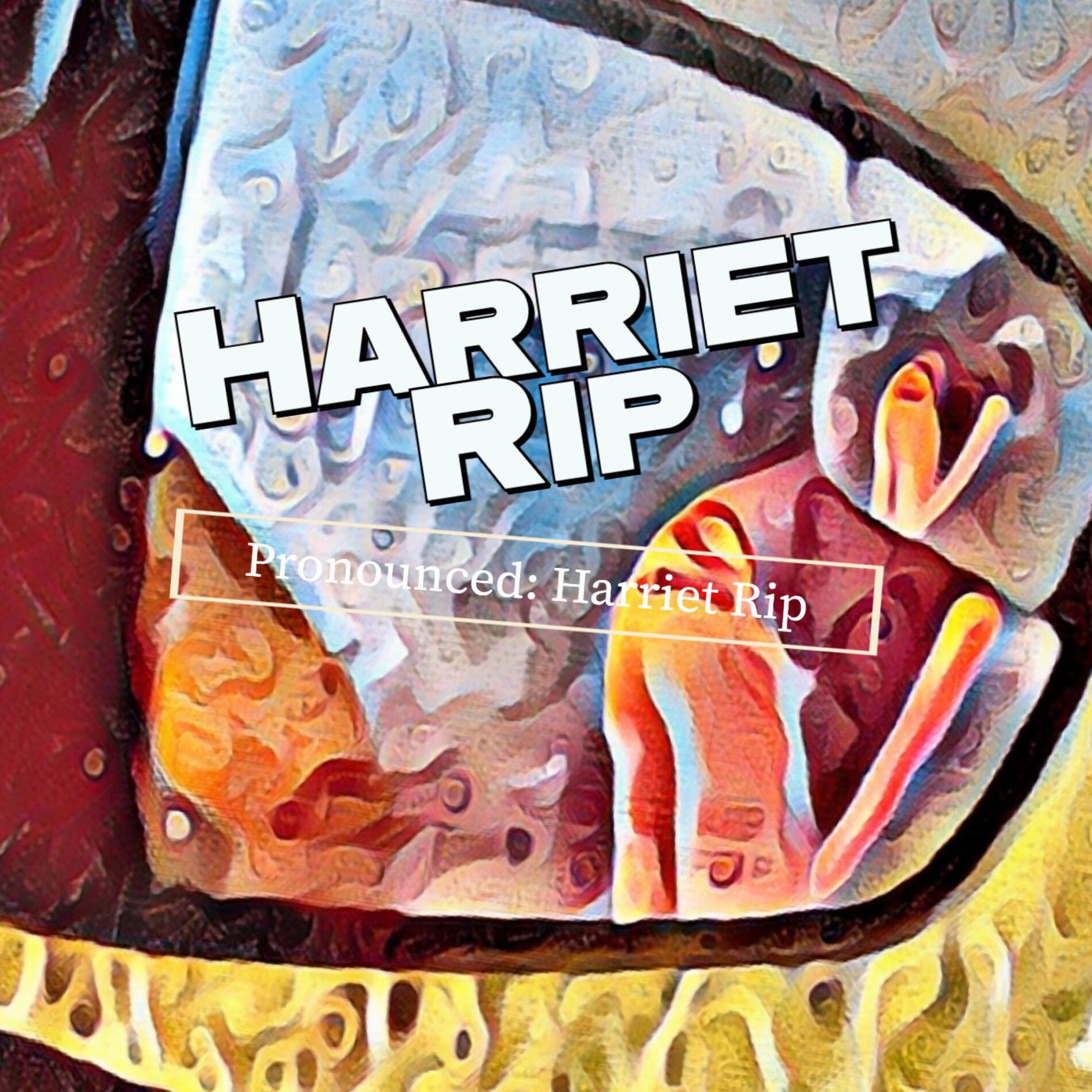Album cover of Harriet Rip (Pronounced: Harriet Rip)