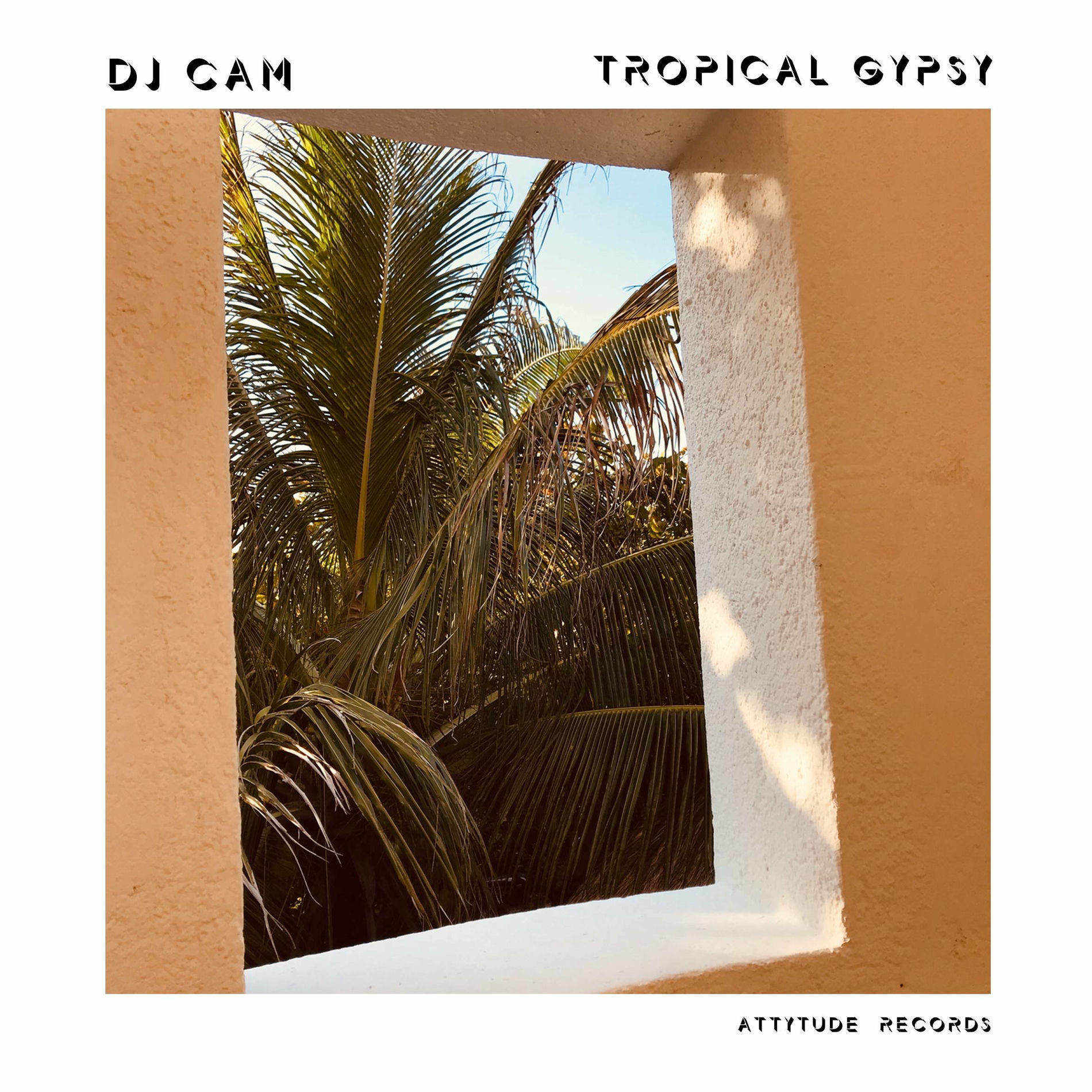 Album cover of Tropical Gypsy