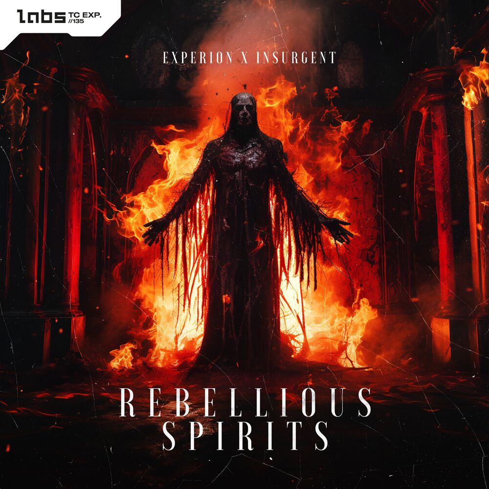 Picture of Rebellious Spirits