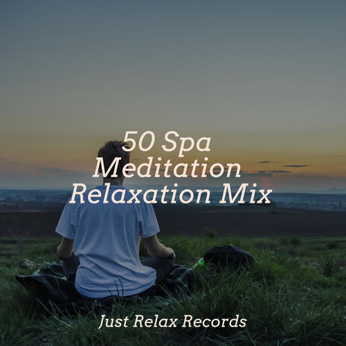50 Spa Meditation Relaxation Mix