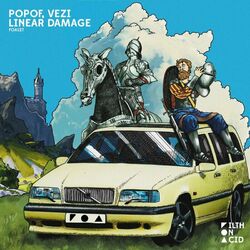Cover of Linear Damage