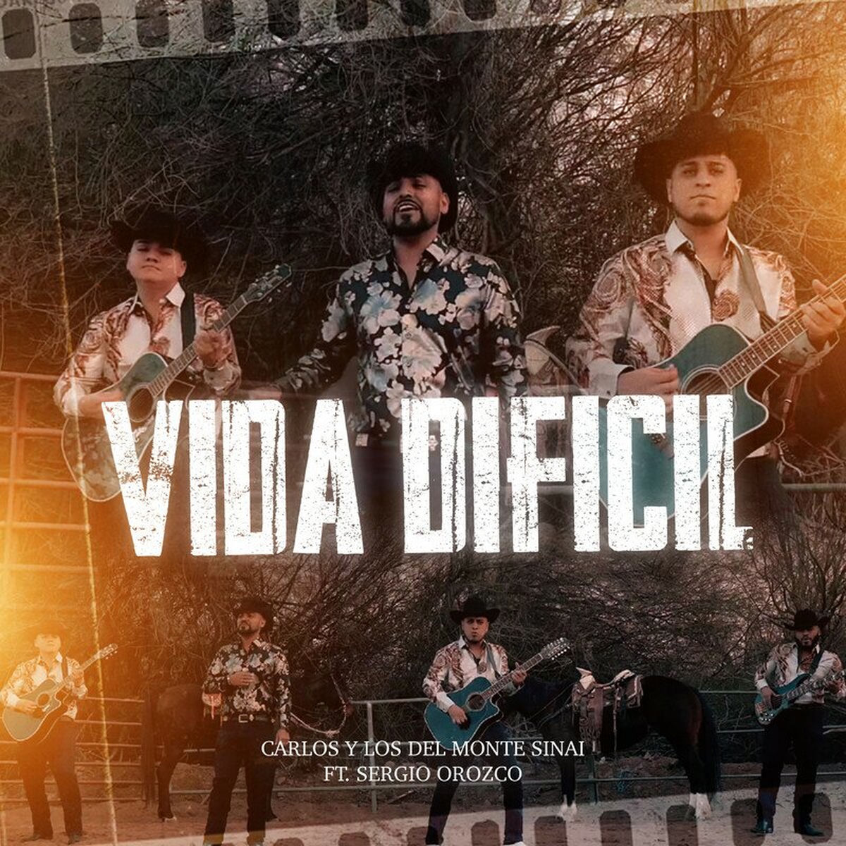 Album cover of Vida Dificil