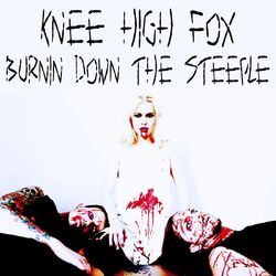 Cover of Burnin Down the Steeple