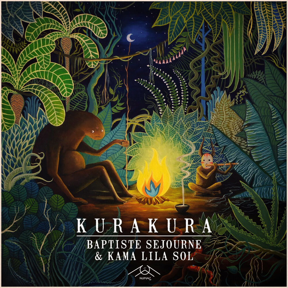 Picture of Kura Kura