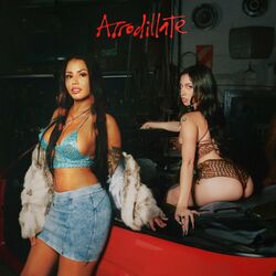 Cover of ARRODILLATE
