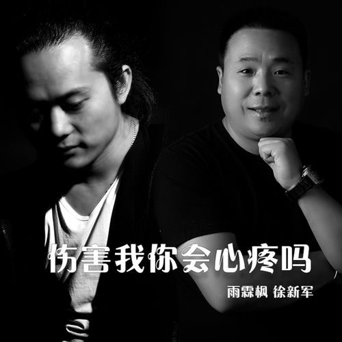 伤害我你会心疼吗 (合唱)