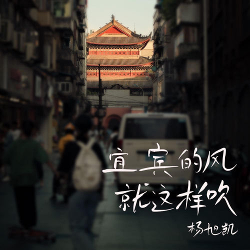 宜宾的风就这样吹