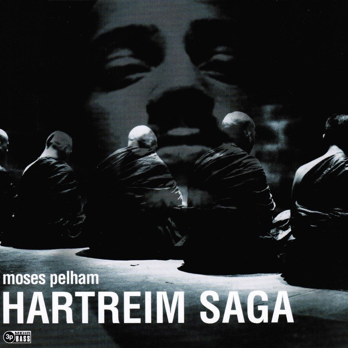 Album cover of Hartreim Saga