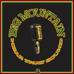 Cover of Hear That Sound