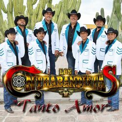 Cover of Tanto Amor