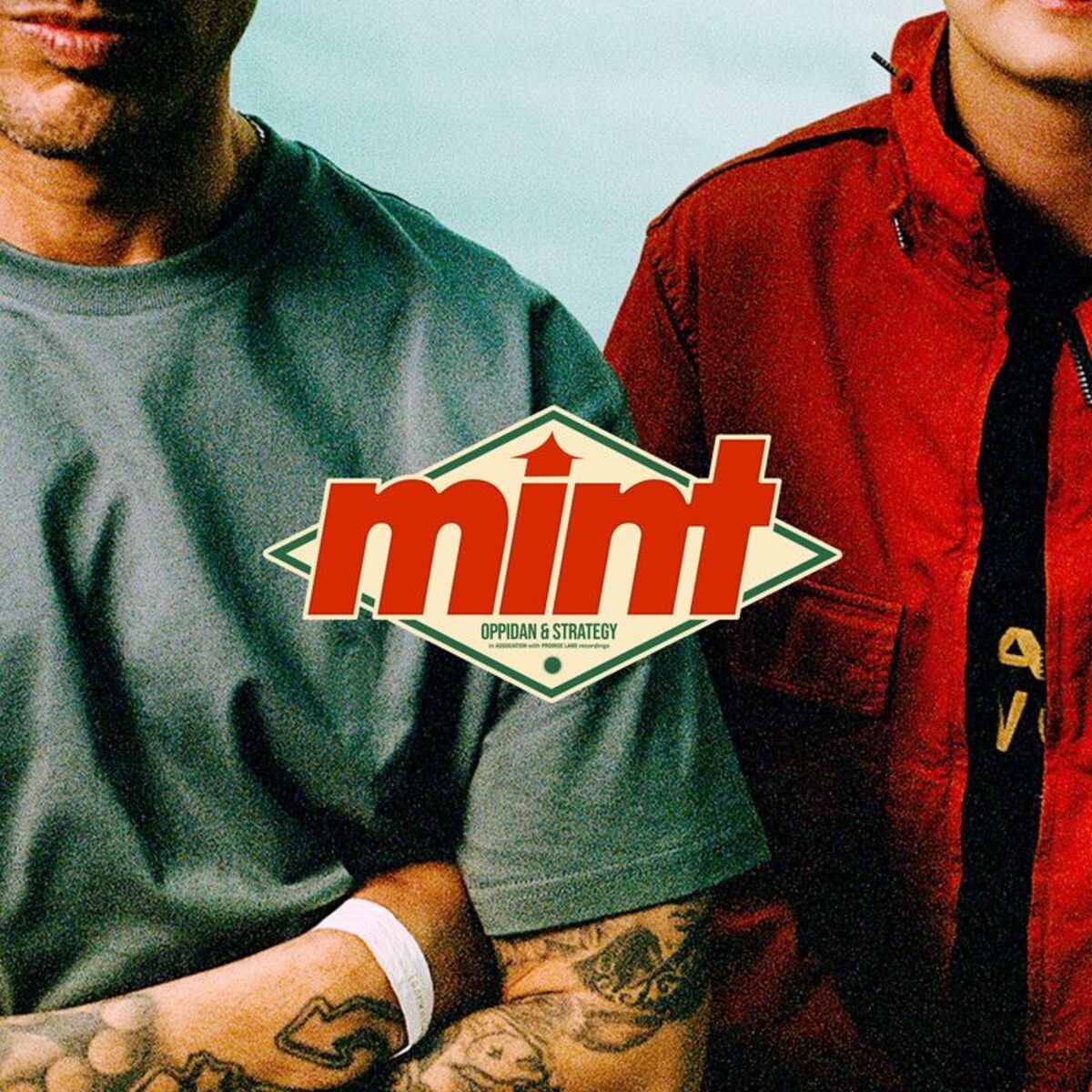 Album cover of mint