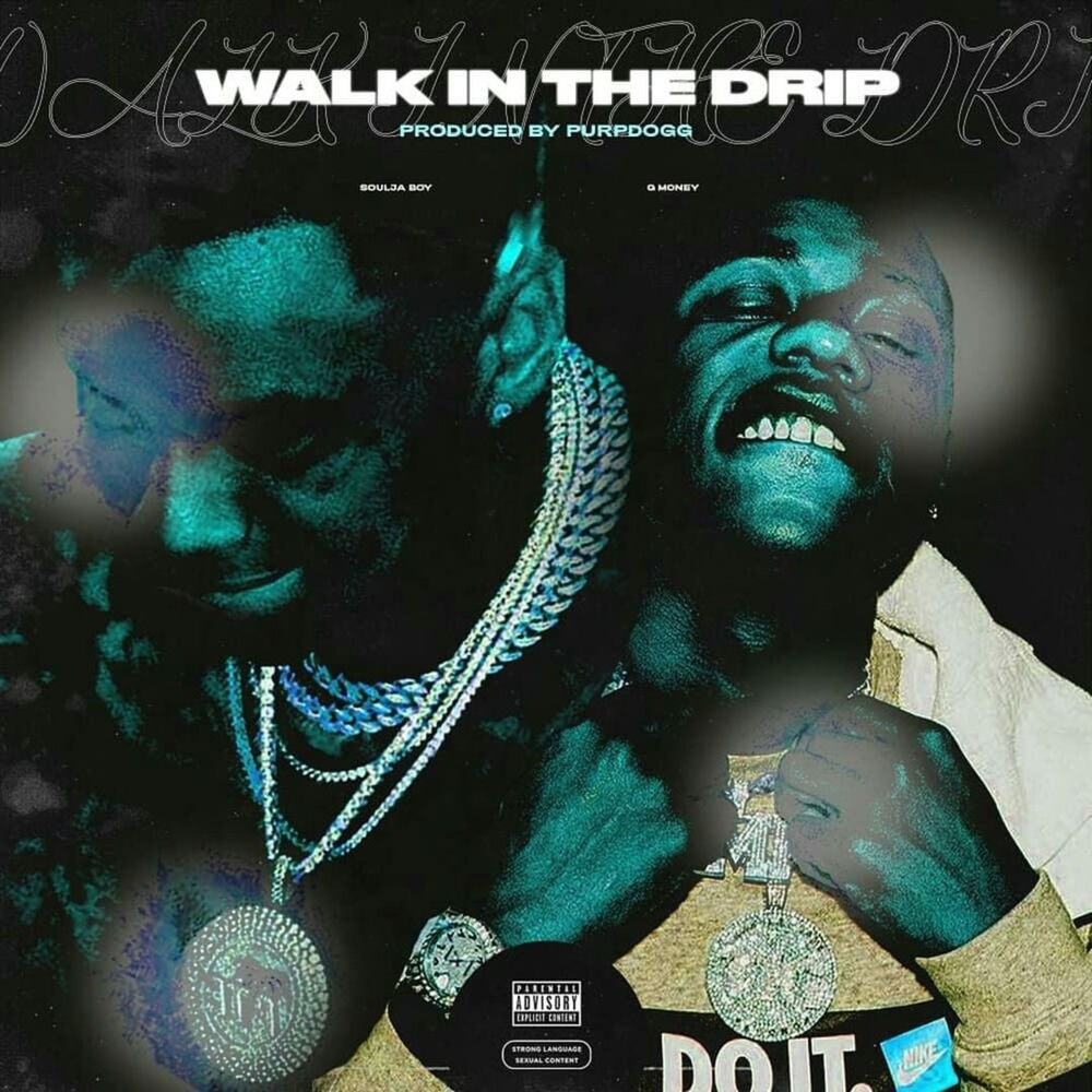 Walk in the Drip cover