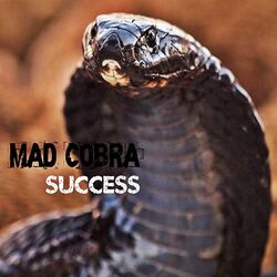 Cover of Success