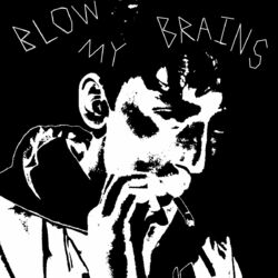 Cover of BLOW MY BRAINS