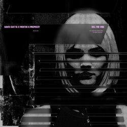 Cover of Kill The Vibe