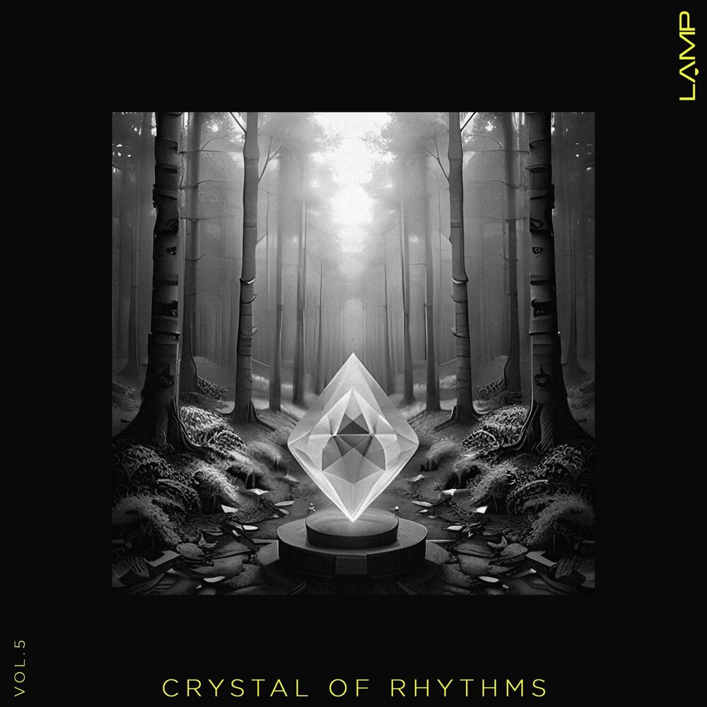 Picture of Crystal of Rhythms, Vol. 5