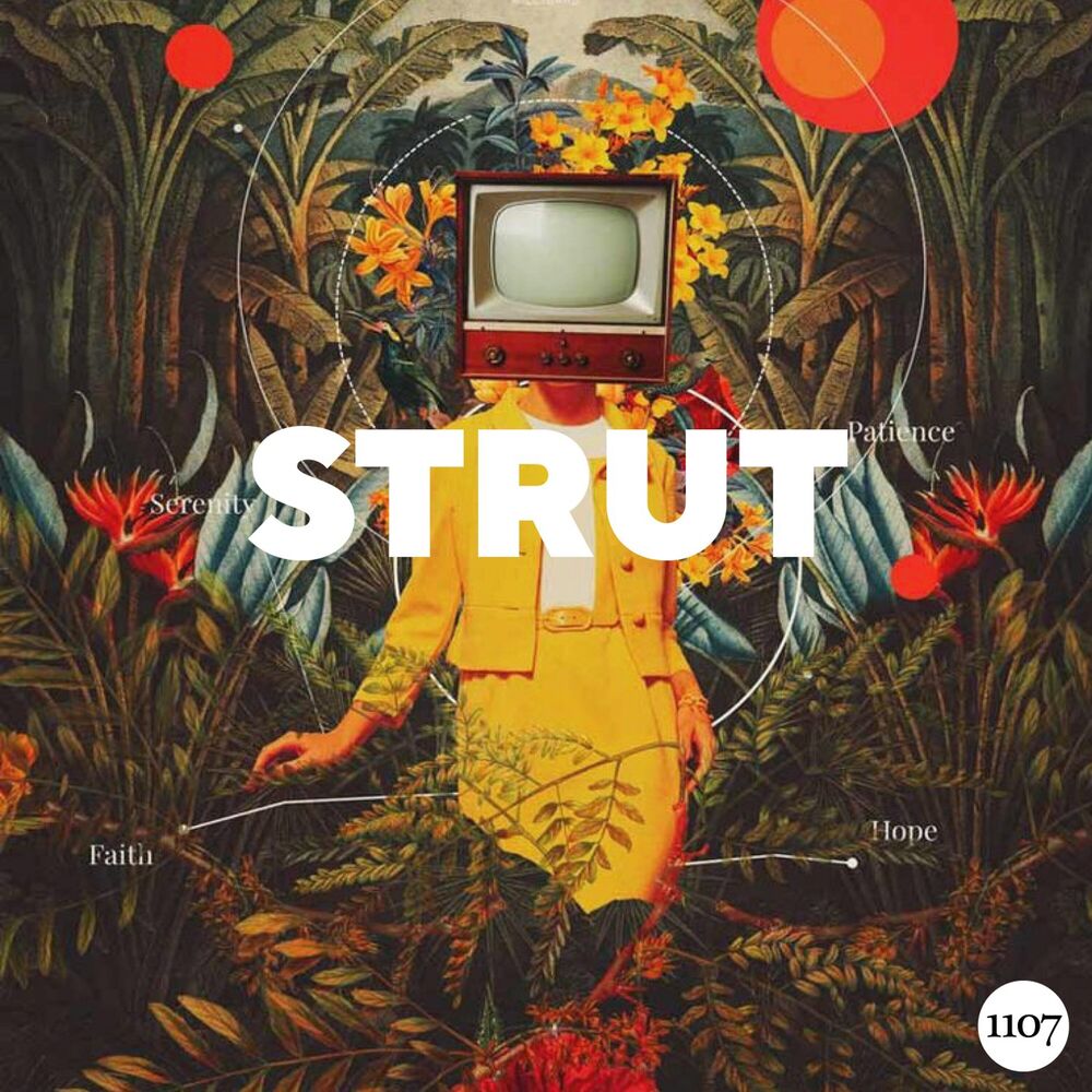 Picture of Strut