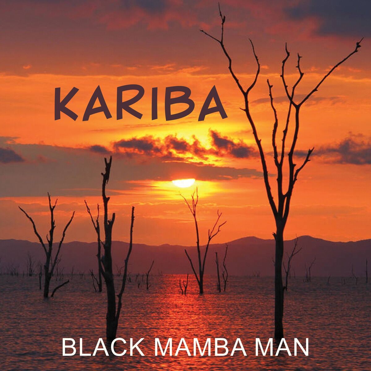 Album cover of Kariba