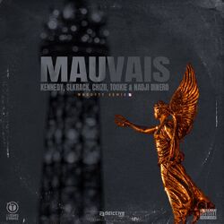 Cover of Mauvais (Whoopty remix)