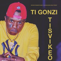 Cover of Tisvikeo