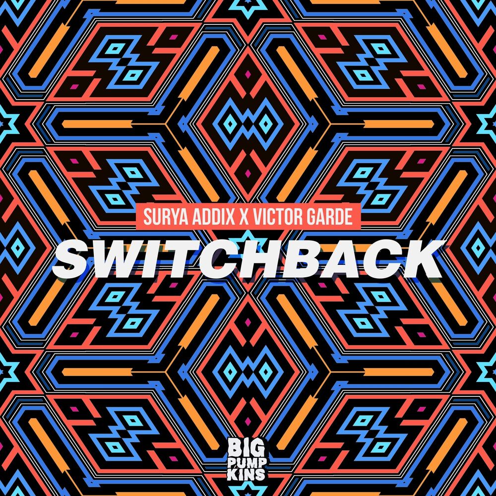 Picture of Switchback