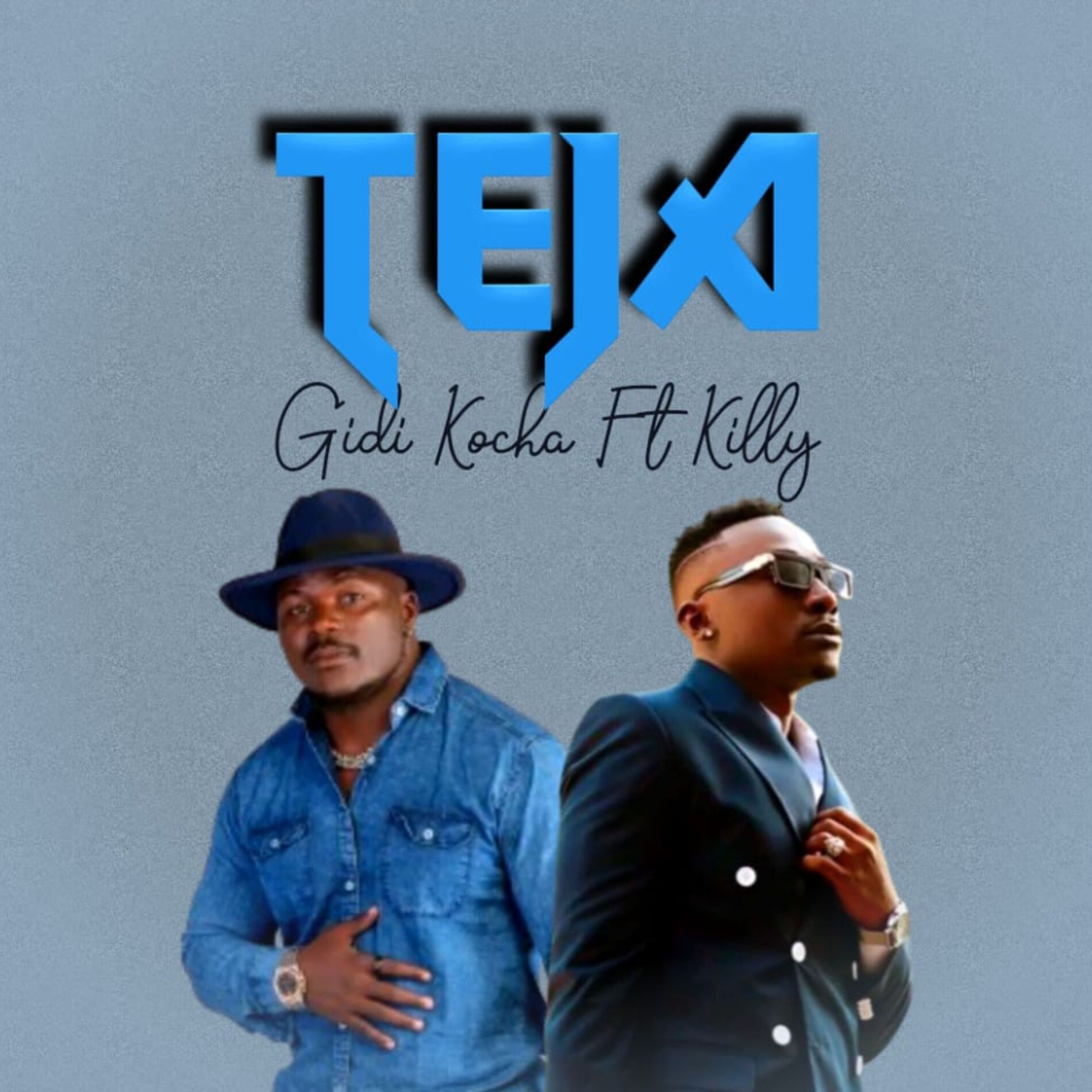 Album cover of Teja