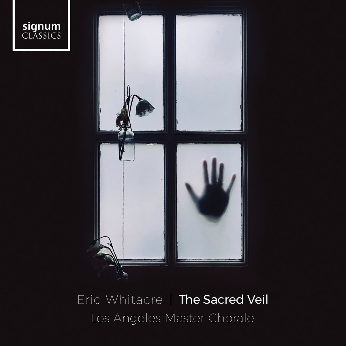 Album cover of The Sacred Veil: X. Dear Friends