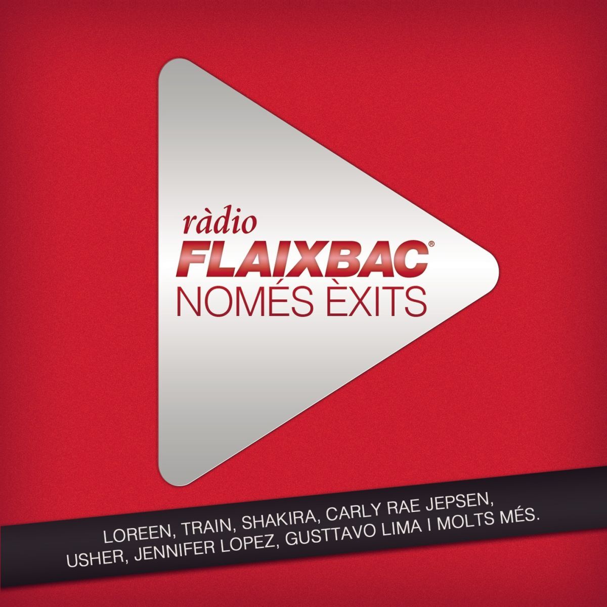 Album cover of Flaixbac 2012