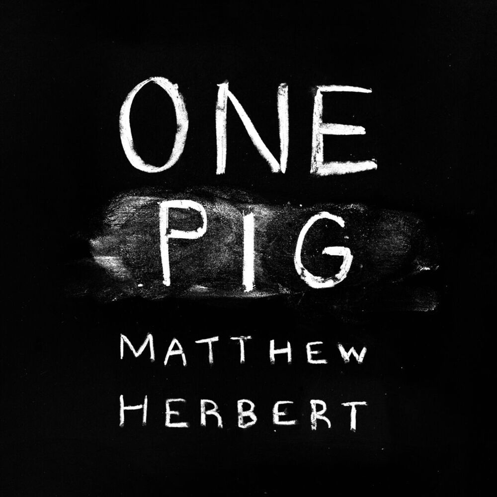 Picture of One Pig