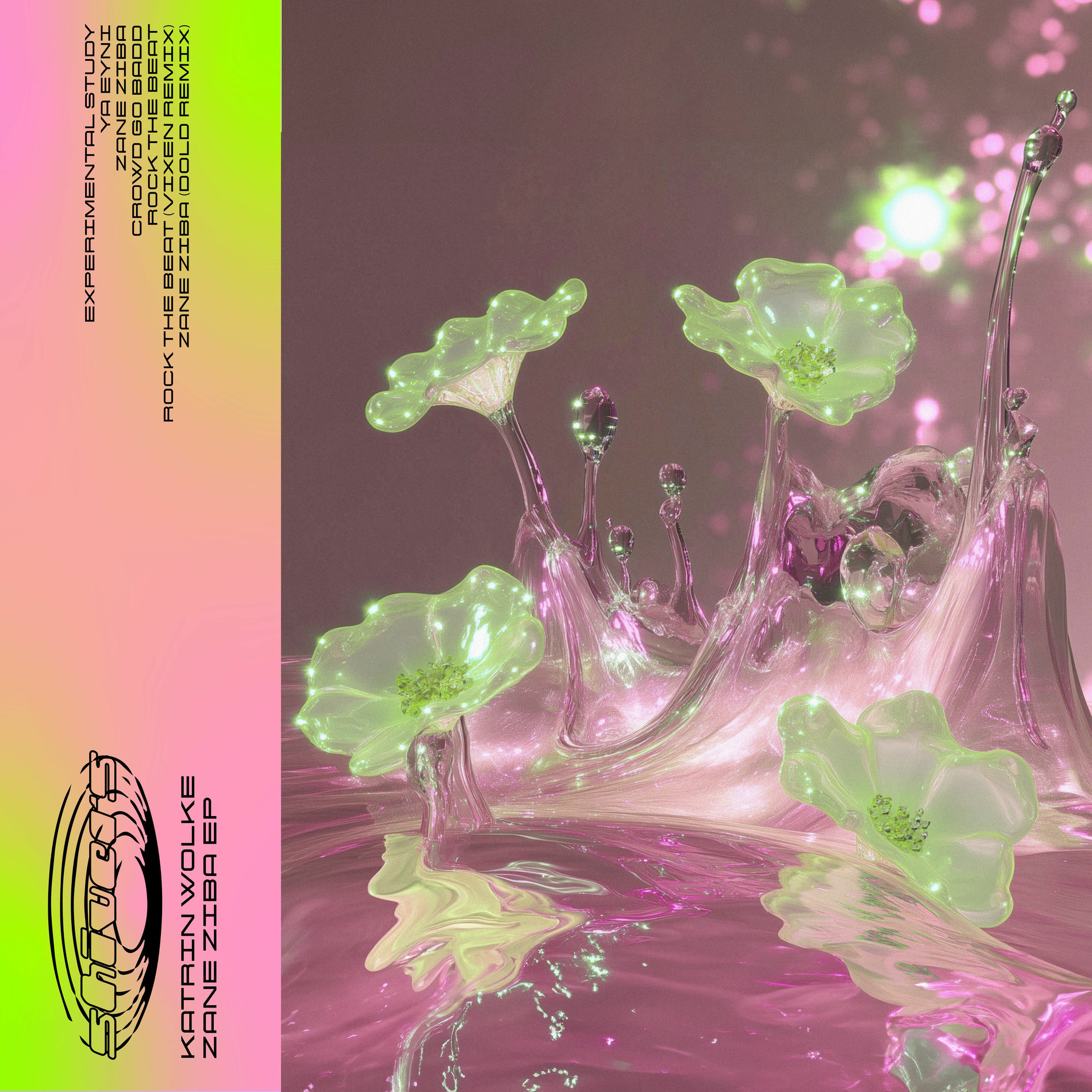 Album cover of Zane Ziba EP