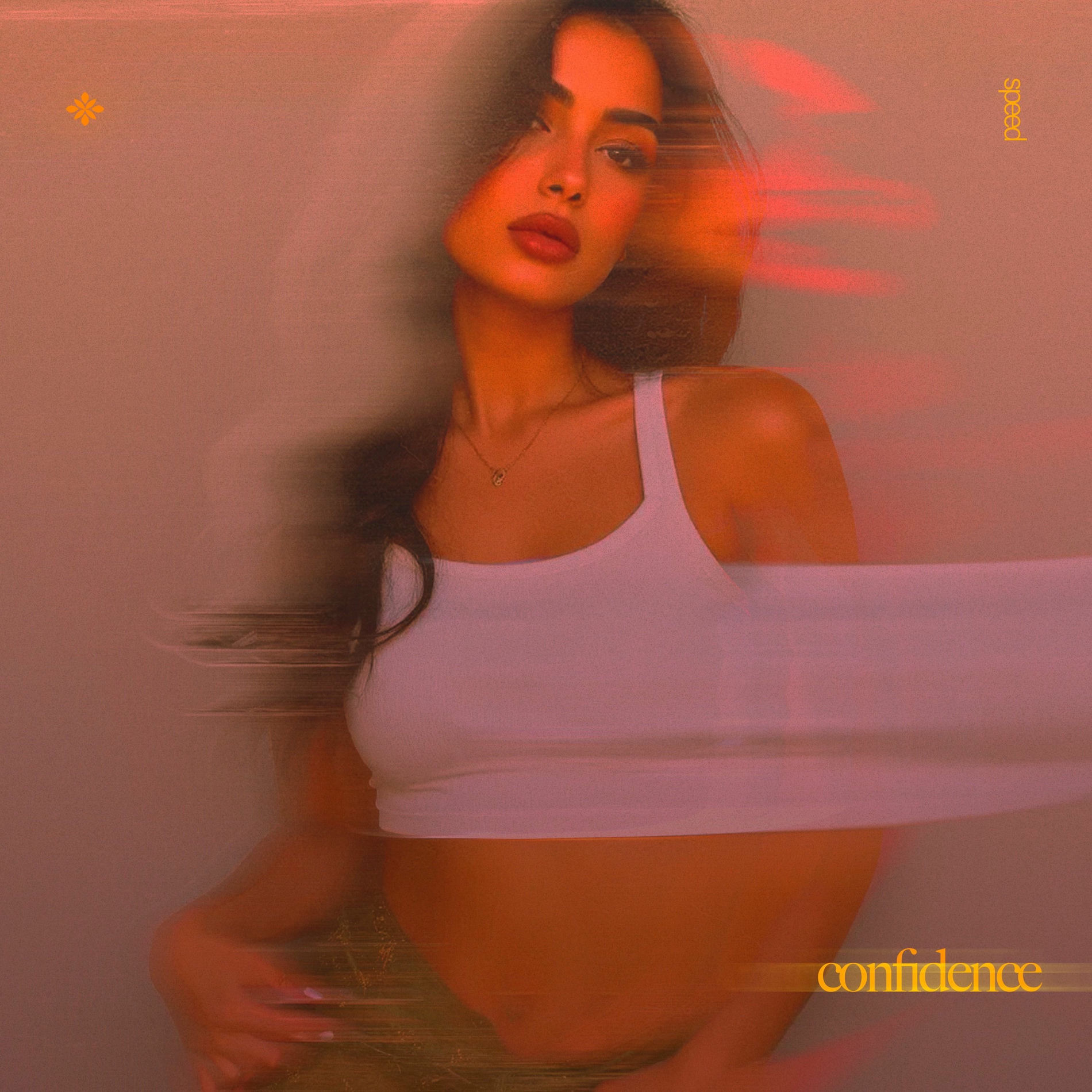 Album cover of confidence (speed)[Hoodtrap]