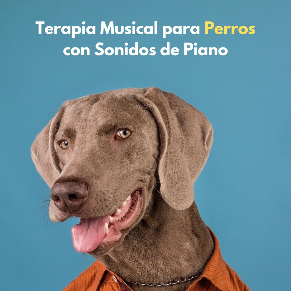 Picture of Terapia Musical Para Perros Con Sonidos De Piano